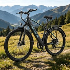 29 inch E-MTB PURE UNICORN U3