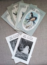 Job Lot of 1950s Bird Watching