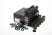 Piper Double Valve Spring Kit