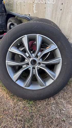 Genuine alloy - mg,