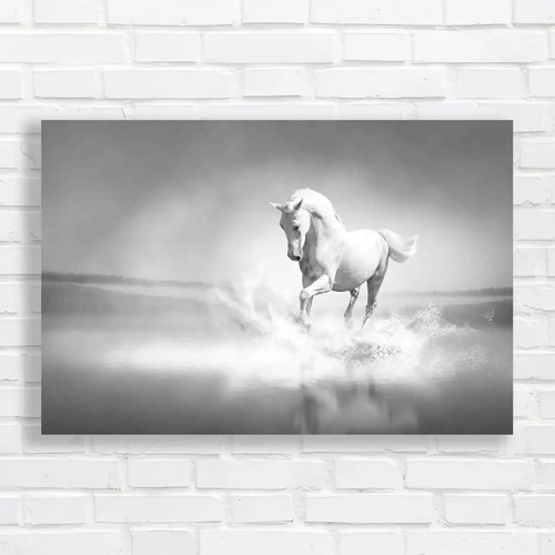 Captivating horse water - captivating,