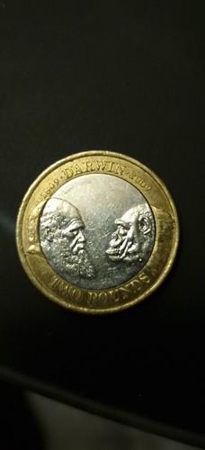 Large sterling silver - sterling, st