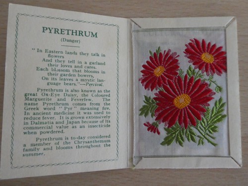 Kensitas wix tobacco silk - wix,