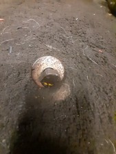 Escort mk4 cambelt pully bolt