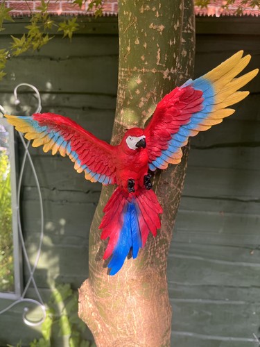 Scarlet macaw garden - scarlet,