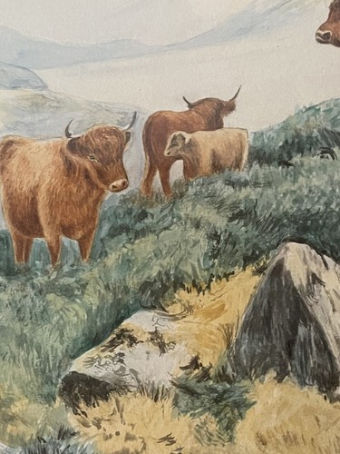Highland cattle framed glazed - cattle,
