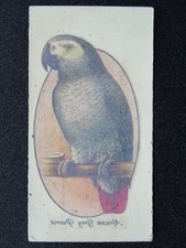 AFRICAN GREY PARROT Aviary & Cage Birds TRANSFERS by John Player 1933