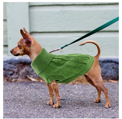 Small dog jumper warm puppy - dog,