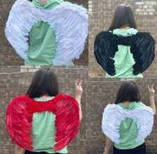 Angel Wings Fairy Wings