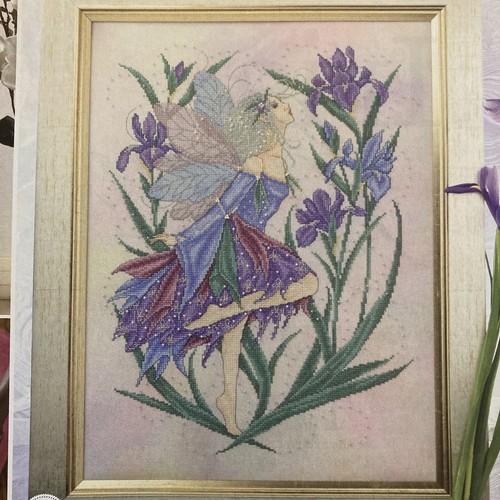 Joan elliott iris - iris, flower