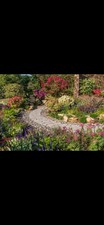 Grow Your Dream Garden