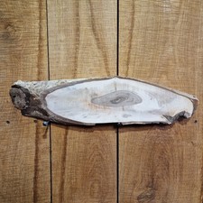 Live Edge Black Walnut Slab