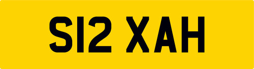 Sarah kiss private car reg - kiss,