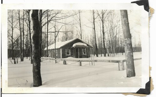 Vintage photo snow covered log - vintage,
