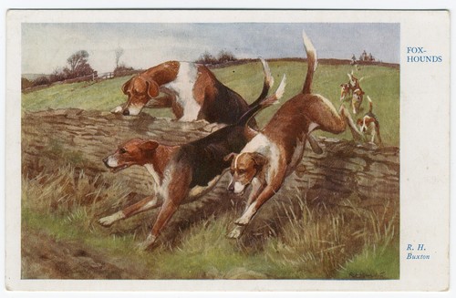 Foxhound dogs vintage dog - vintage, art