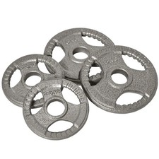 PINGGO Set of 4 Weight Plate