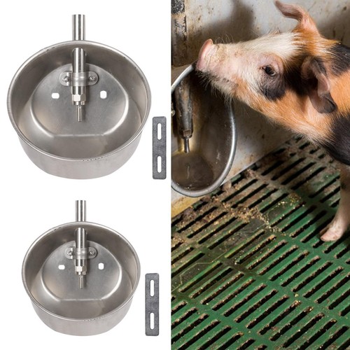 Automatic pig waterer - pig,
