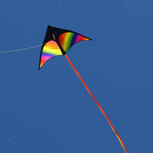 Rainbow delta kite - kite, fly