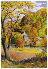 Monsal Dale Derbyshire Badmin