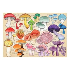 The House of Puzzles Mushroom