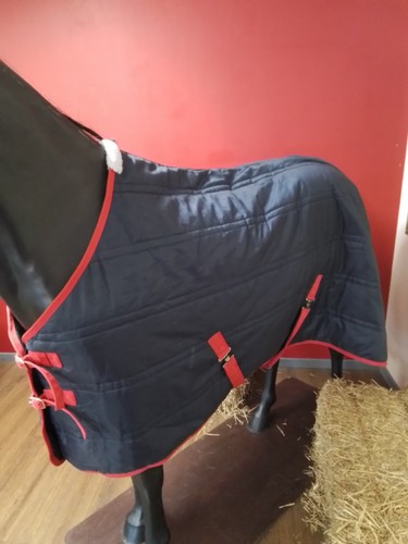 Navy blue john - whitaker, stable