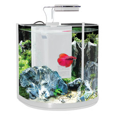 Aqua One BT10 Betta Aquarium