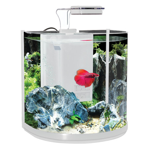 Aqua one bt10 betta aquarium - aqua,