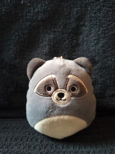 Squishmallows rocky racoon - rocky,
