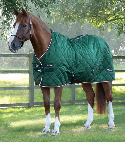 Premier equine tuscan stable - premier,