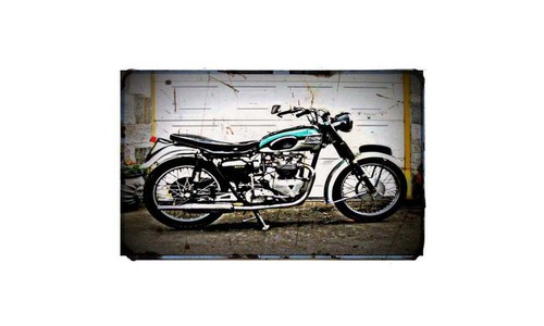 1959 triumph bike - triumph,