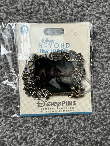 D23 sleeping beauty - beauty, frame