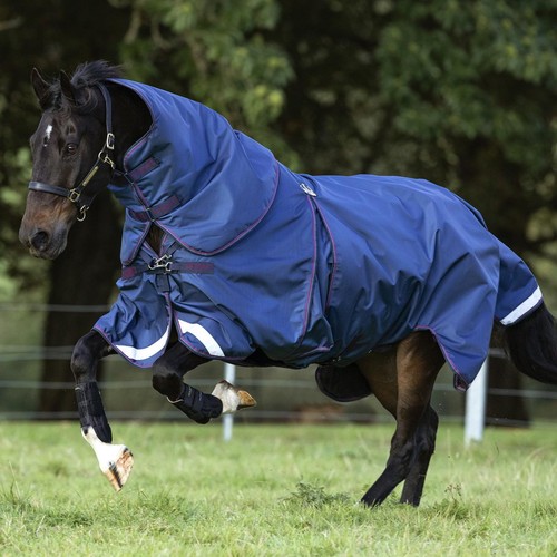 Rambo optimo turnout - optimo, horse