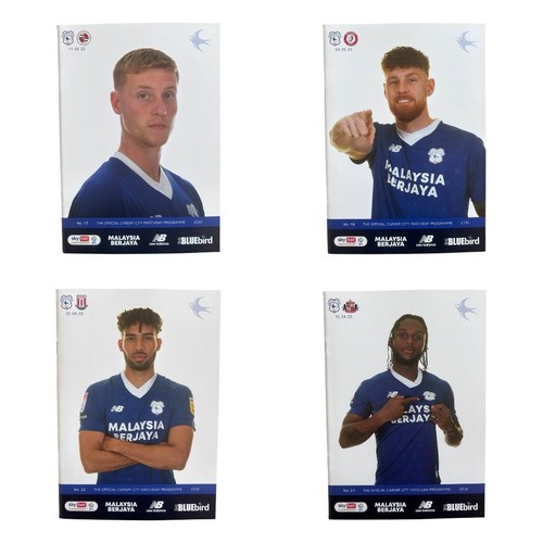Cardiff city football - cardiff,