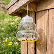 Plastic wasp trap large - 4x,