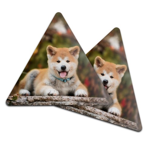 Triangle coaster japanese - 2x,