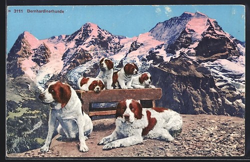 Postcard bernard - st.,