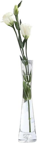 25cm glass flower vase - glass, single