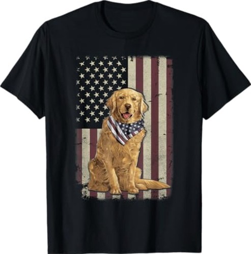 Golden retriever american - golden,