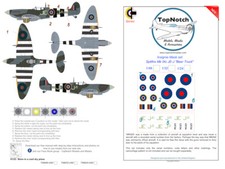 TopNotch Spitfire Ixc Beer