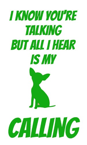 Chihuahua/dog/animal/pet/pup/d