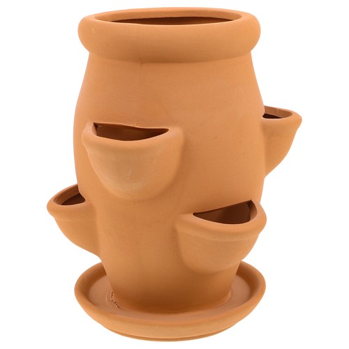 Terracotta strawberry pot - strawberry,