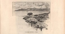Antique Print CANNES Monti