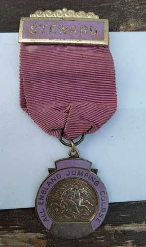 Vintage enamel steward - 's, pin