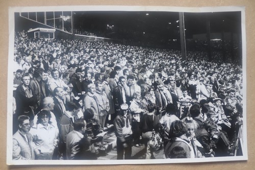 Wigan rugby league - wigan, crowd