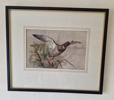 Vintage archibald thorburn - vintage,