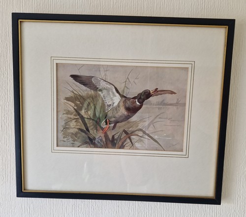 Vintage archibald thorburn - vintage,