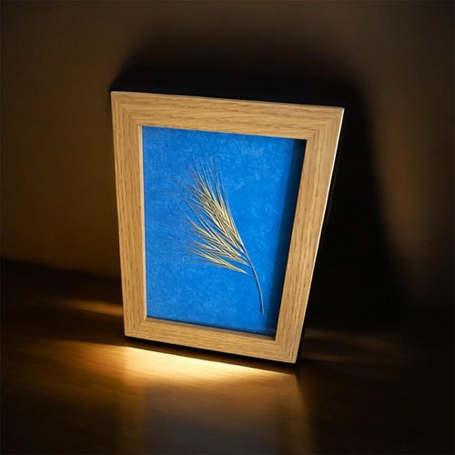 Beautiful framed dried - beautiful,