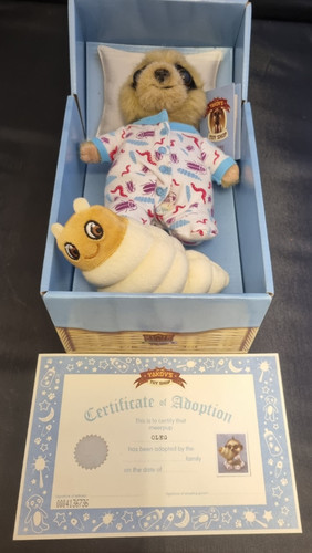 Compare the meerkat baby - meerkat,
