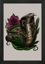 Cobra Framed Wall Art Poster
