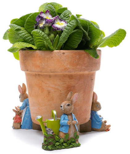 Beatrix potter plant - beatrix,